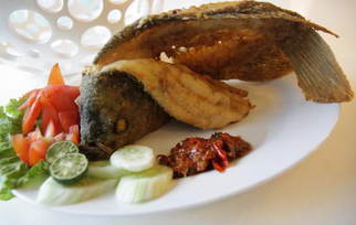 menu12