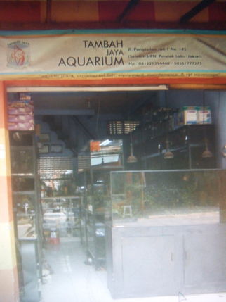 Tambah Jaya Akuarium