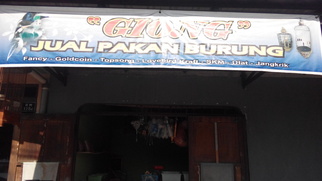 Toko Giong Jual Pakan Burung