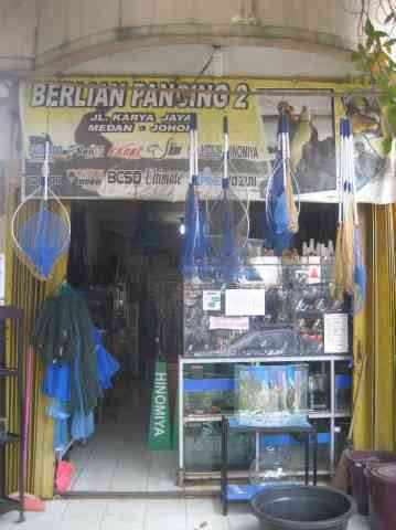 Berlian Pancing 2