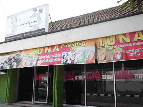 Luna Petshop