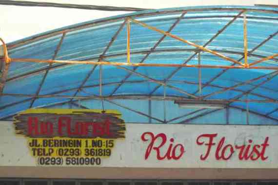 Rio Florist Motor