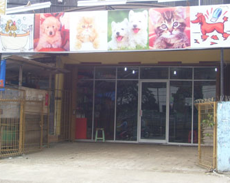 Golden Pet Shop Arcamanik Bandung