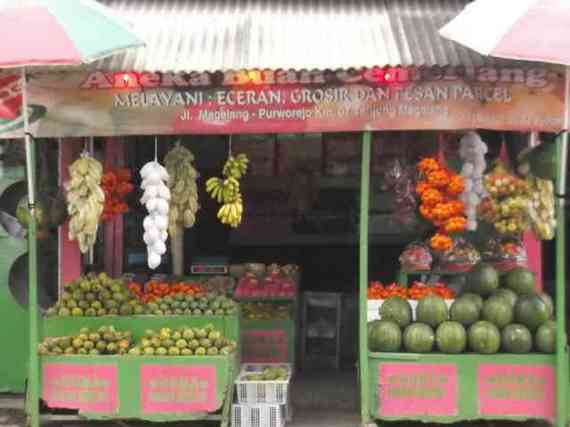 Aneka Buah Cemerlang