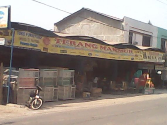 Terang Makmur Toko 