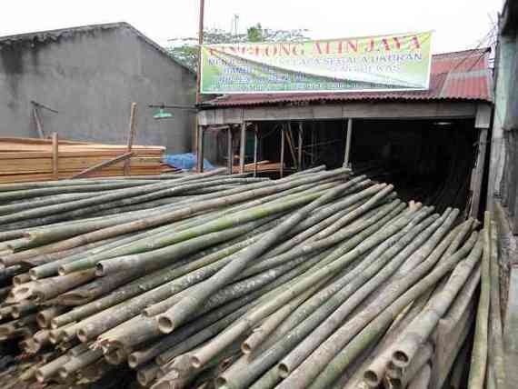 Panglong Alin Jaya