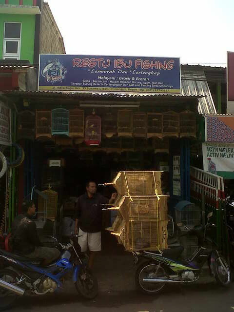 Restu Ibu Fishing