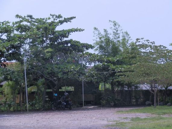 Pandan Sari