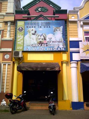 Gray Petshop