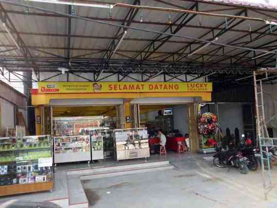 Lucky Swalayan