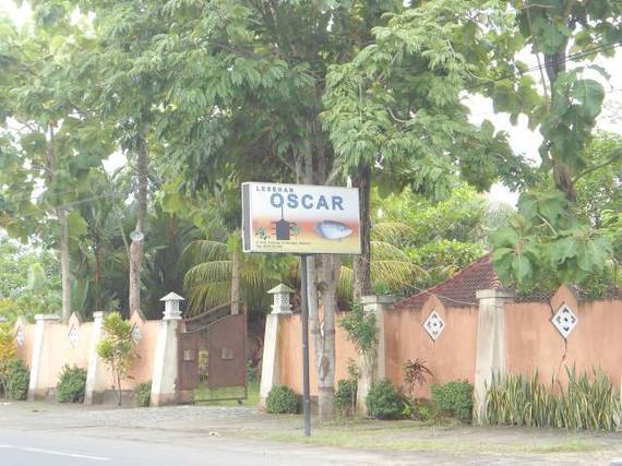 Lesehan Oscar