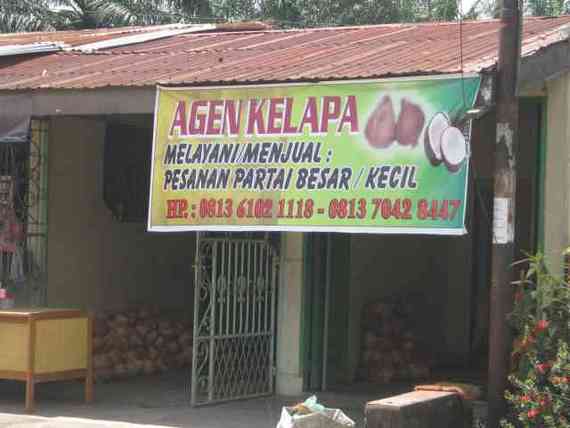 Agen Kelapa