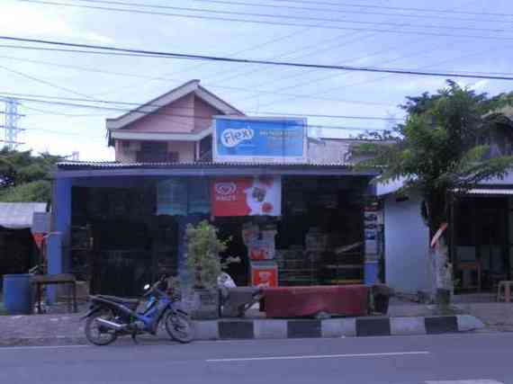 Jual Pakan Burung Pak Suyud