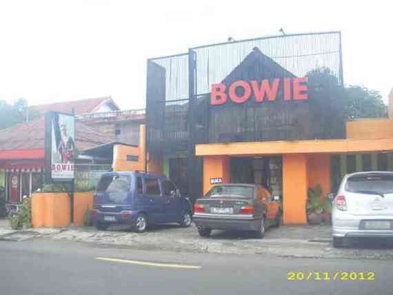 Bowie Salon & Wedding Concept
