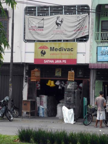 Satwa Jaya