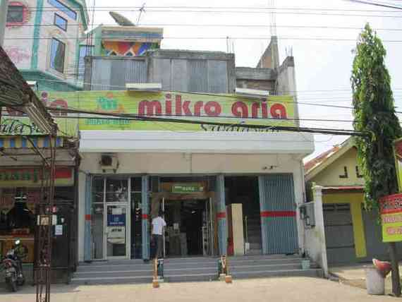 Mikro Aria