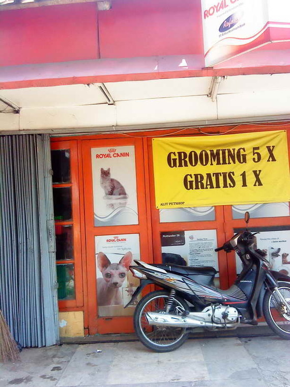 Drh. Alit