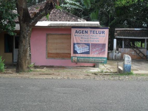Agen Telur