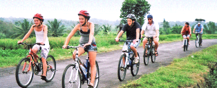 Banyan Tree Bike Tours