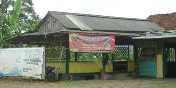 Sapa Nyana