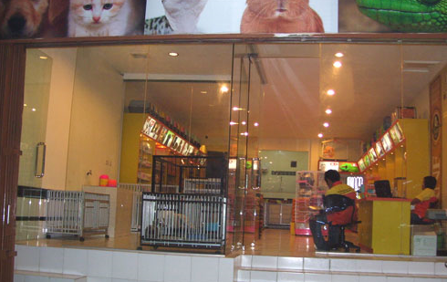 Golden 2024 pet shop