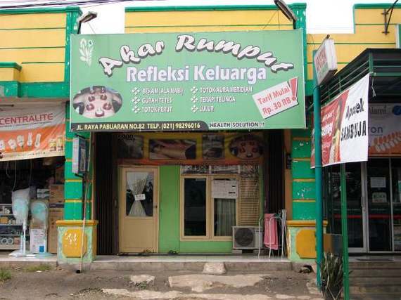 Akar Rumput