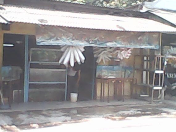 Zahra Aquarium