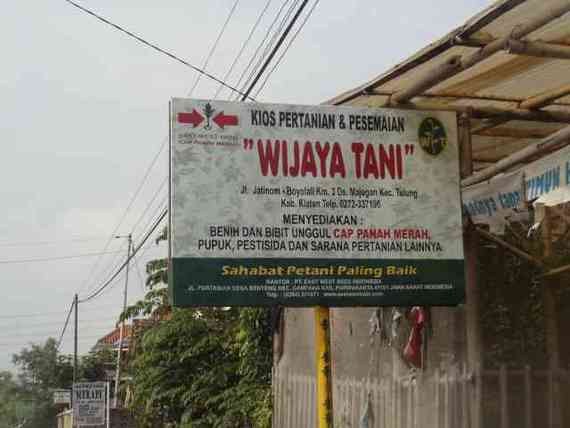 Wijaya Tani