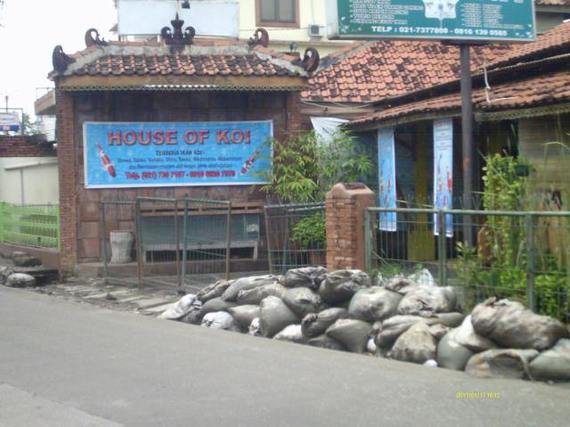 House Of Koi