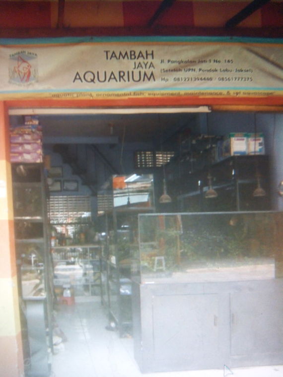 Tambah Jaya Akuarium