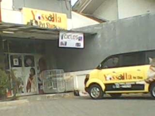Yosella Pet Shop