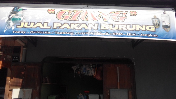 Toko Giong Jual Pakan Burung