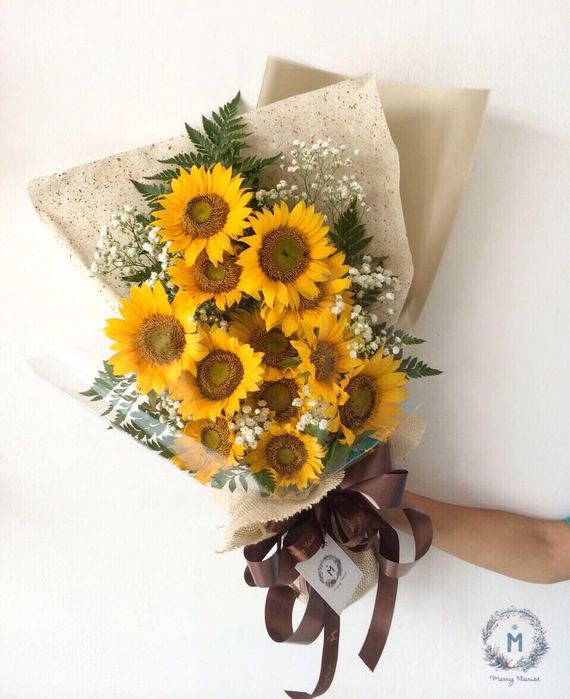 Sunflower Shine