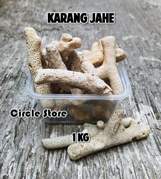 Karang Jahe 1kg Media Filter Air Kolam Aquarium