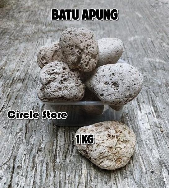 Batu Apung Pori 1kg Pumice Media Filter Air Kolam Aquarium