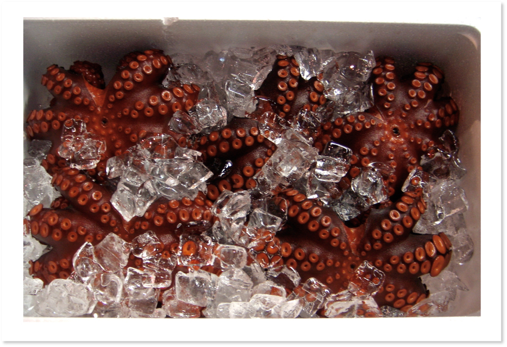 Sea Food