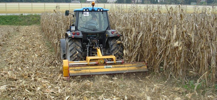 CornMulching