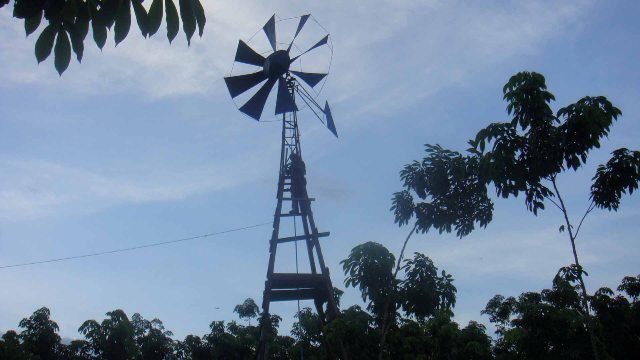 Wind water pump