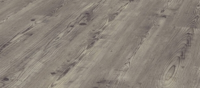 Bough Pine