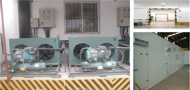 pepsi factory cold room installation