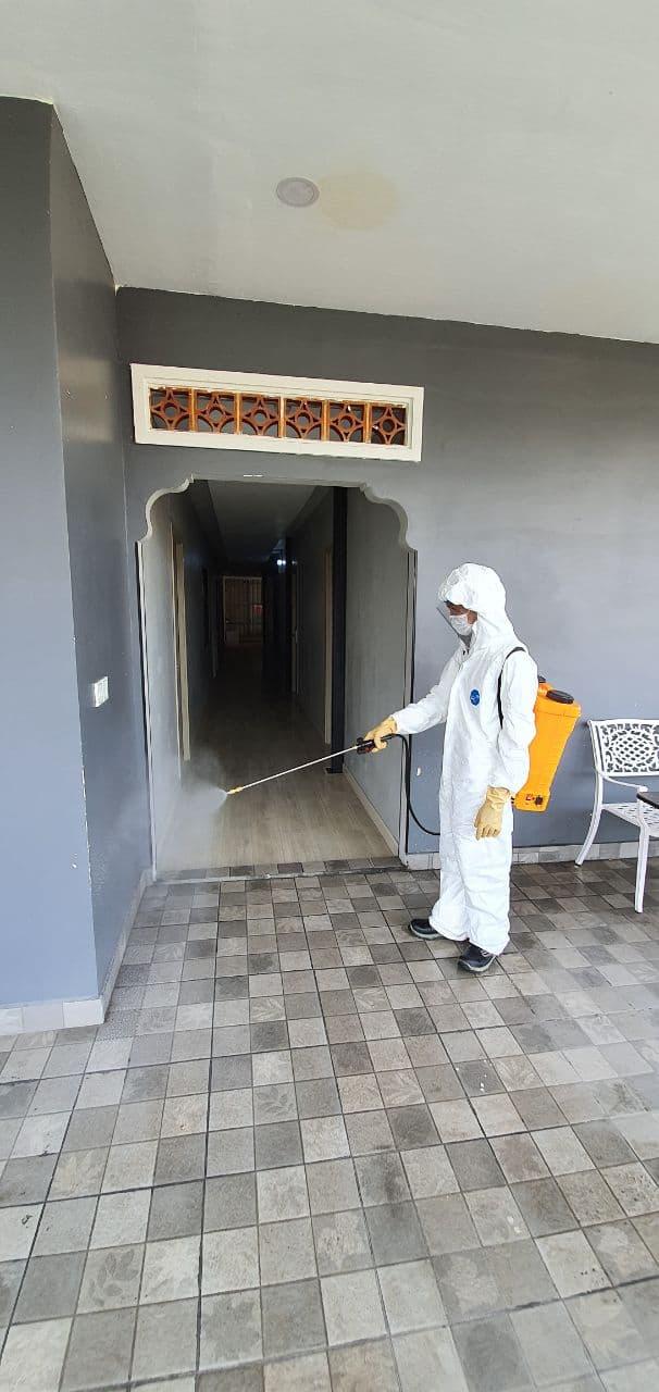 Building Pest Control