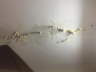 S  13377677