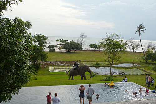 Activities10