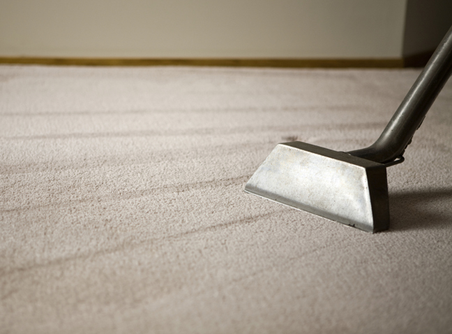 carpet cleaning