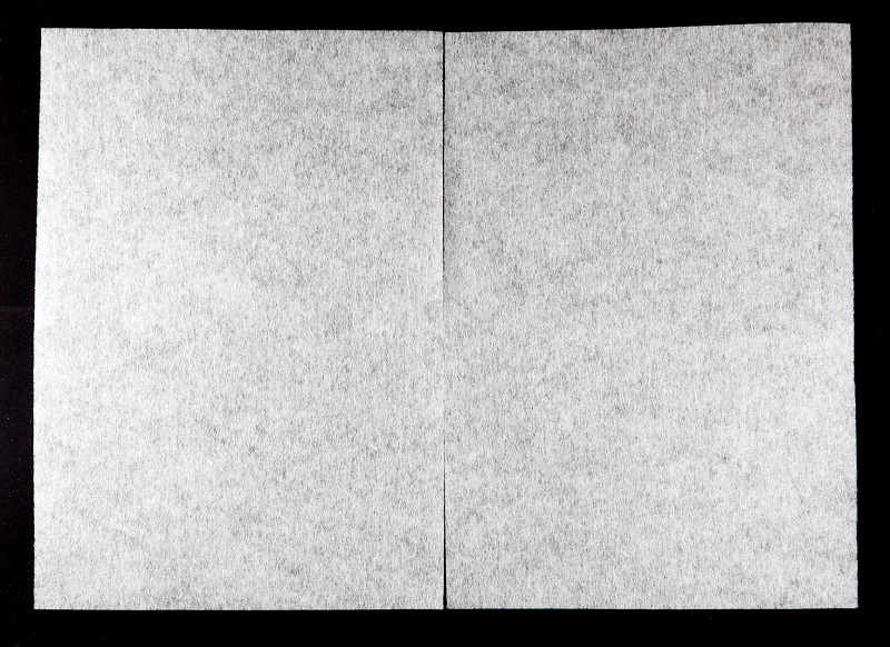 Two Layer Non woven Fabric