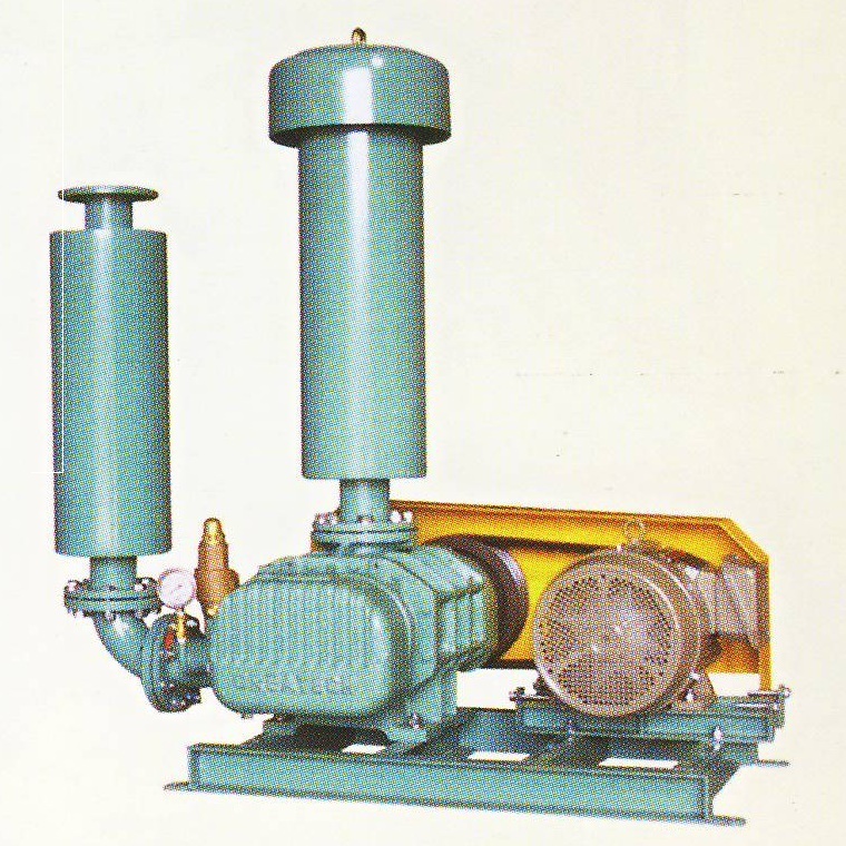 Roots Blower