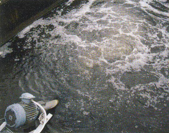 Surface Jet Aerator (Fixed Type Installation For Aeration Tank) 1