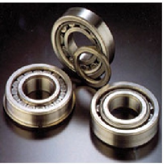 43f high thrust capacity cylind