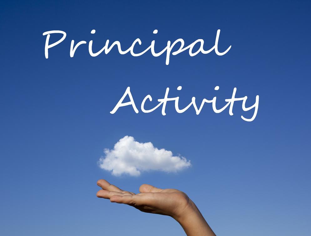 Principal Activity