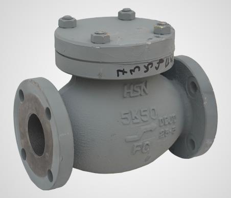 Cast Iron Lift Check Globe Valve